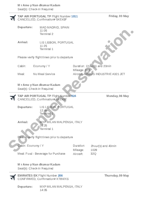 dummy-ticket-for-visa