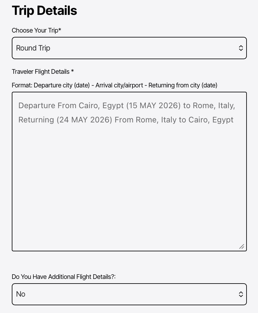 fill-out-extra-details-for-your-desired-italian-visa-flight-ticket